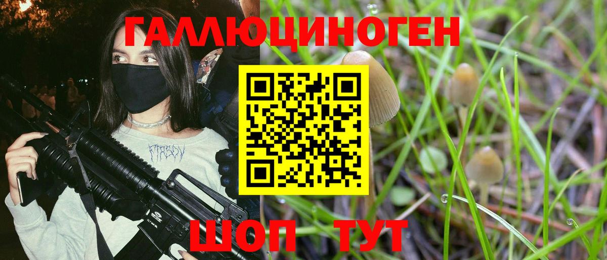 Псилоцибиновые грибы MAGIC MUSHROOMS Камень-на-Оби