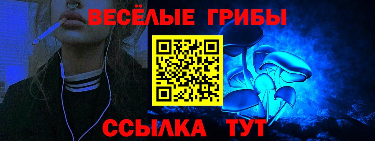 Камень-на-Оби  Галлюциногенные грибы ЛСД  Вход с VPN 